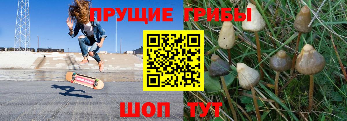 Псилоцибиновые грибы мицелий  Вход с VPN  Миасс 